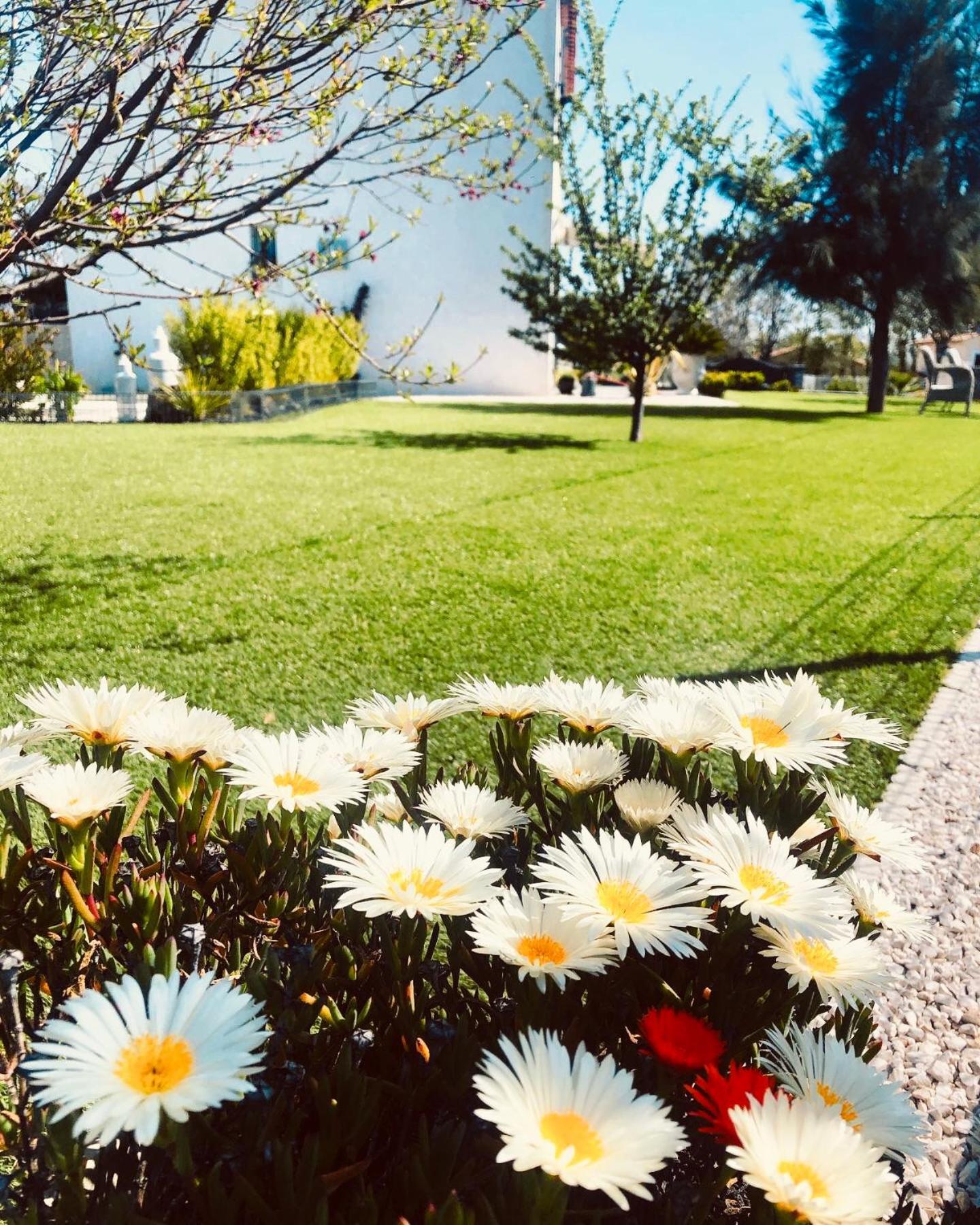 Villa Maolo 2 Roquebrune-sur Argens Exteriér fotografie